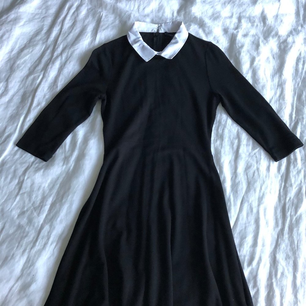 Black French Connection Fit and Flare Dress